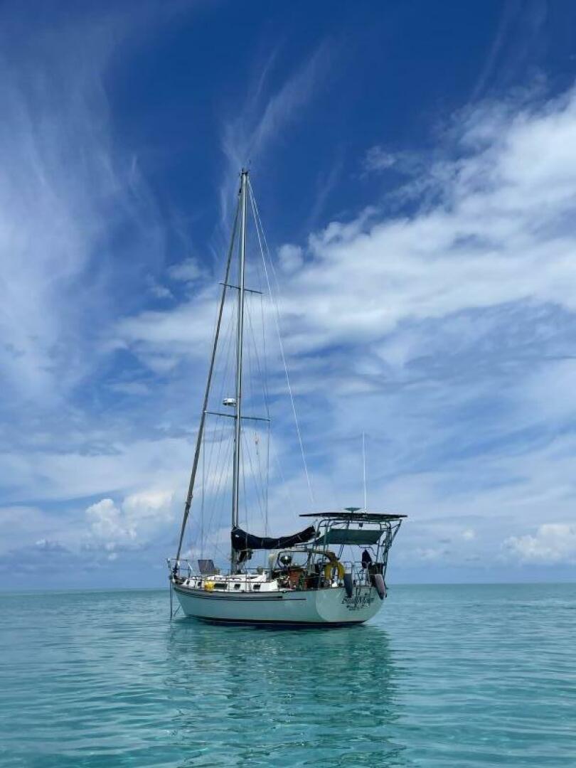 Slide: The Image of Passport 40 1986 - 4421722