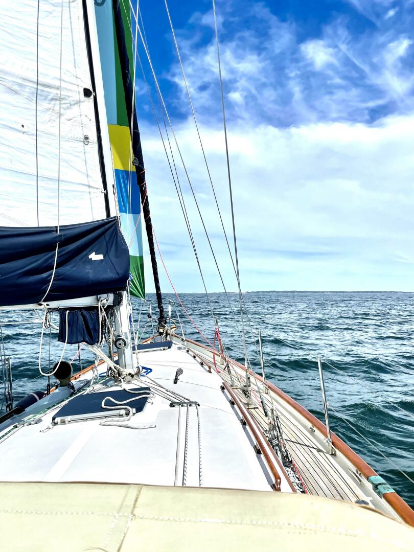 Slide: The Image of Passport 40 1986 - 4421723