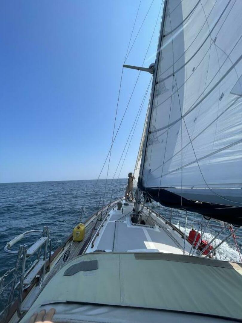 Slide: The Image of Passport 40 1986 - 4421724