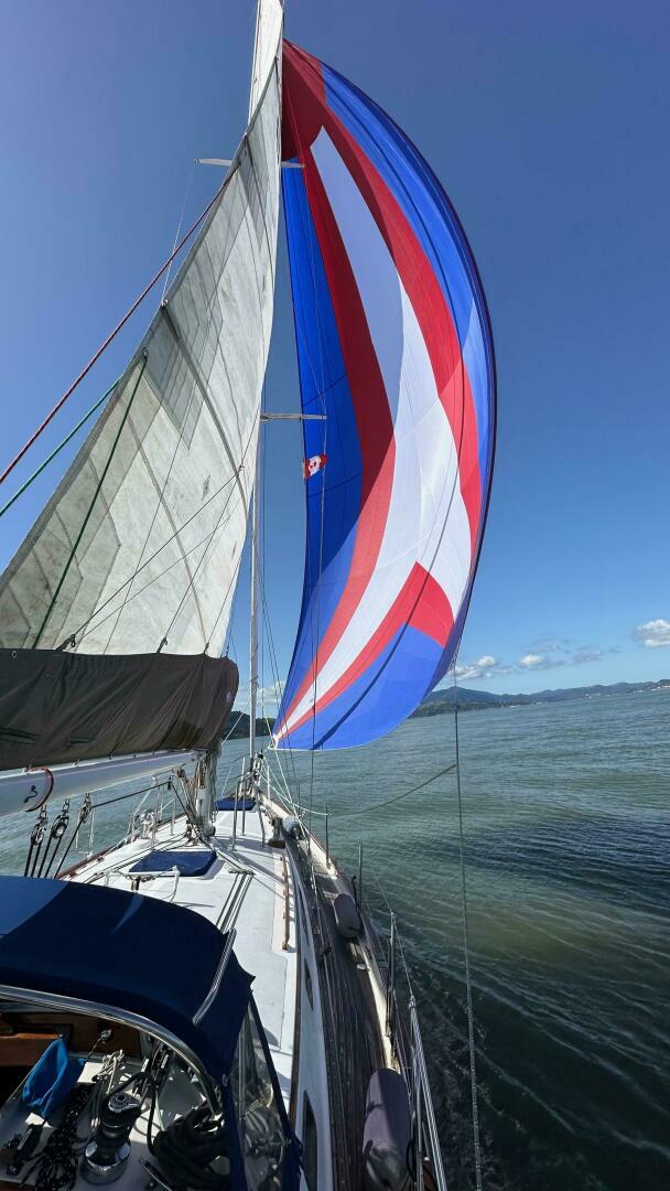 Slide: The Image of Passport 40 1987 - 5191241