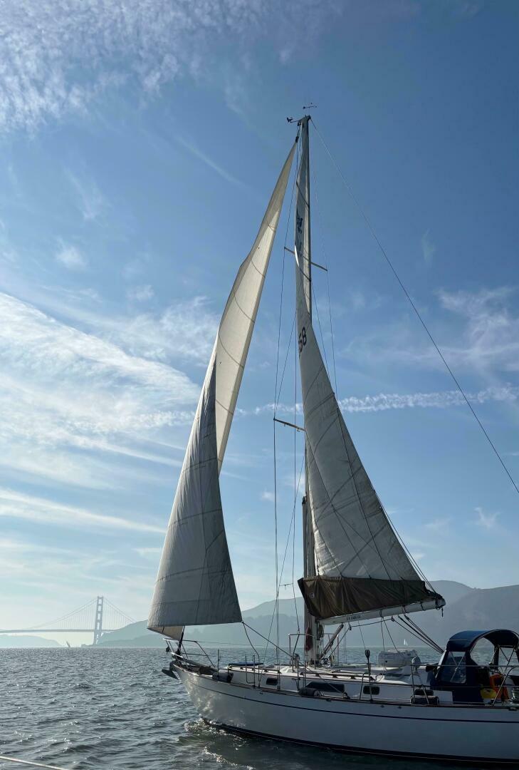 Slide: The Image of Passport 40 1987 - 5191245