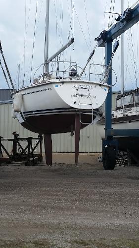 Slide: The Image of 1989 Pearson 31 sailboat in dry dock for maintenance. - 7