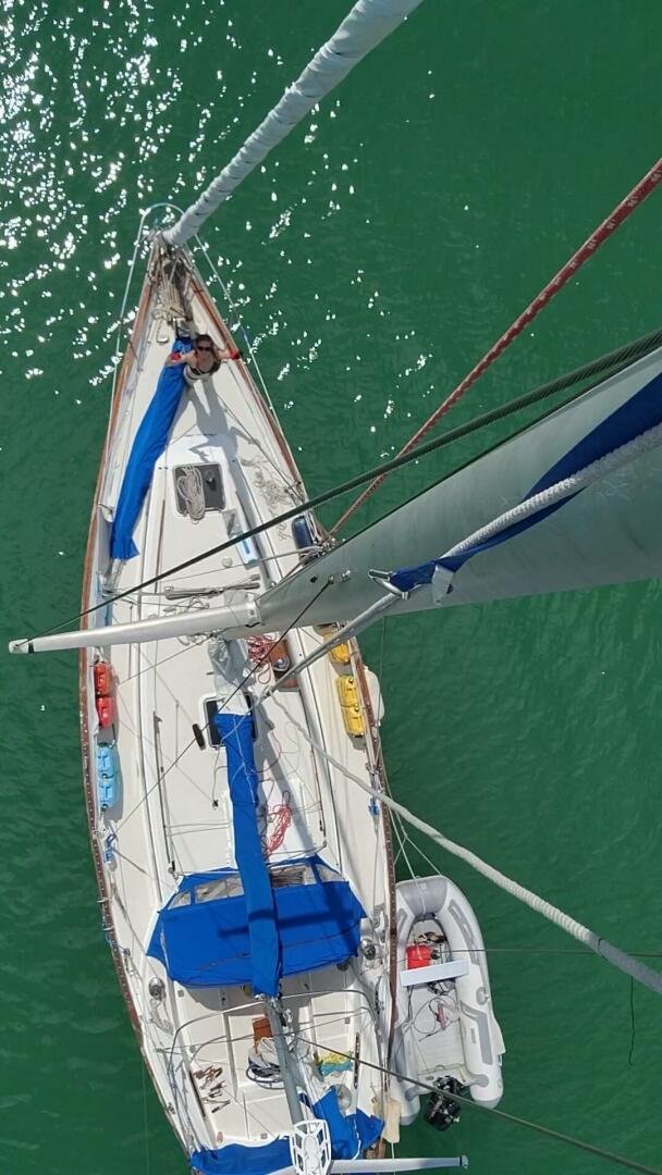 Slide: The Image of Pearson 365 Ketch 1978 - 5044993