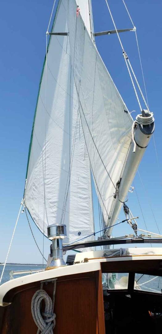 Slide: The Image of Pearson Pilothouse 365 1980 - 4561520