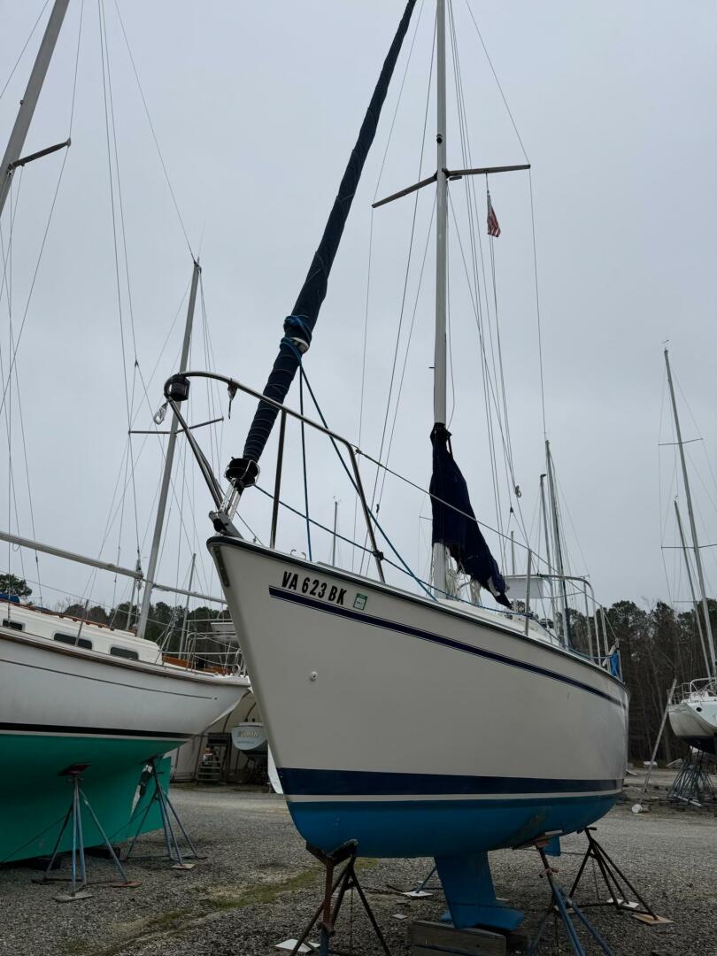 Slide: The Image of IMG_7313 - 5213707