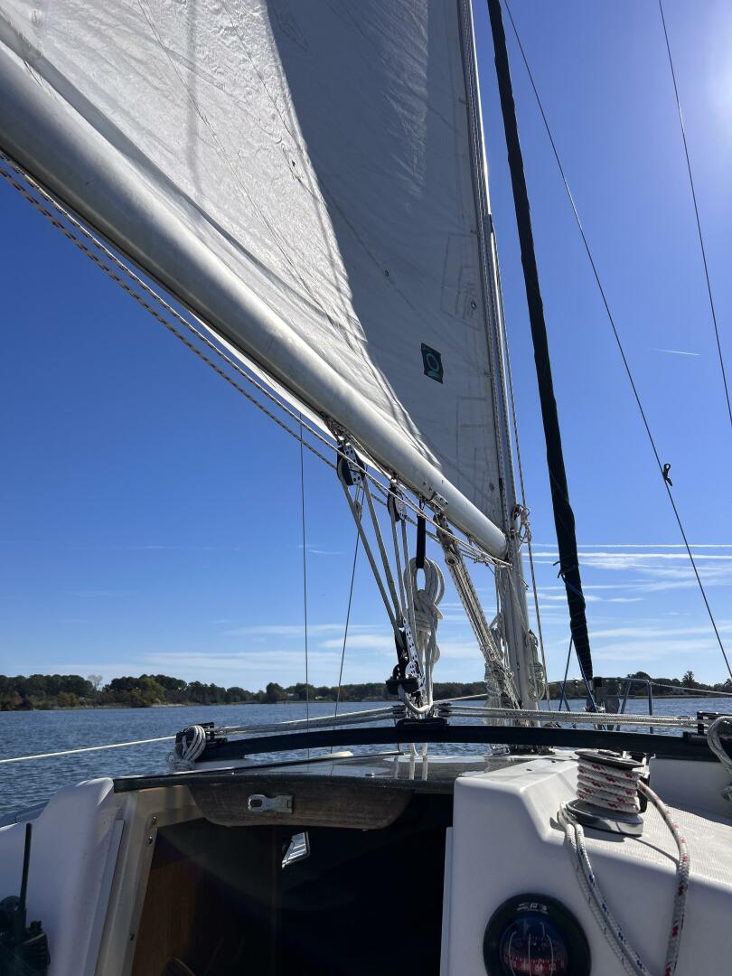 Slide: The Image of IMG_7628 - 5213710