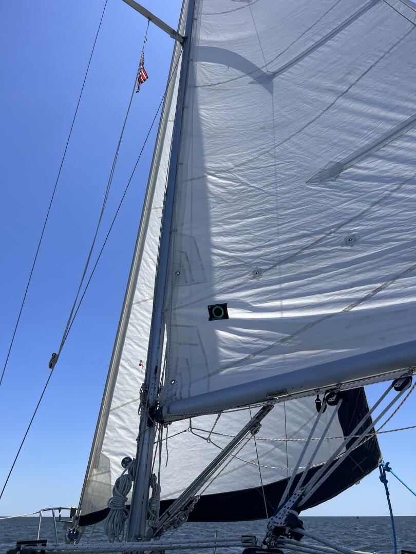 Slide: The Image of IMG_8717 - 5213719