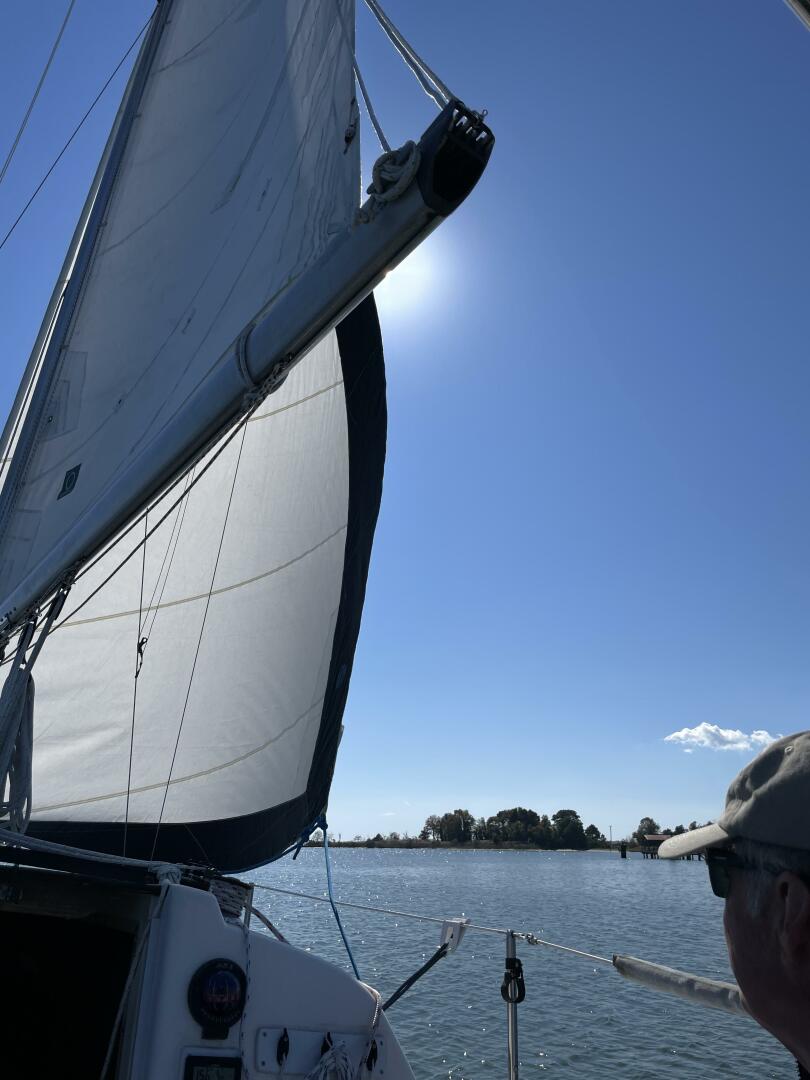 Slide: The Image of IMG_7669 - 5213734