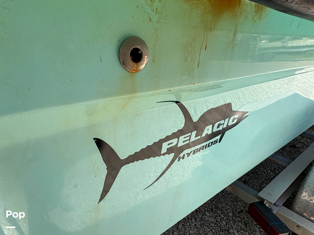 Slide: The Image of Pelagic Hybrids 26CC 2017 - 15645661
