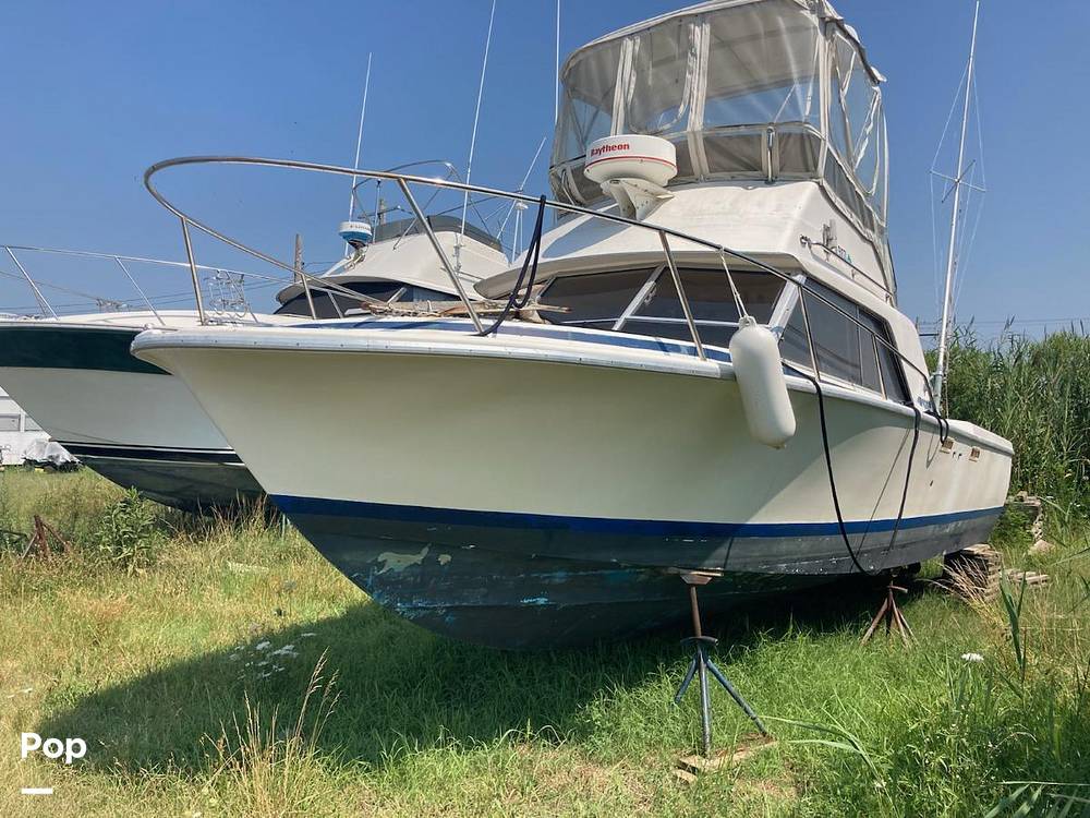 Slide: The Image of Phoenix Bass Boat 29 Flybridge Cruiser 1979 - 11251587