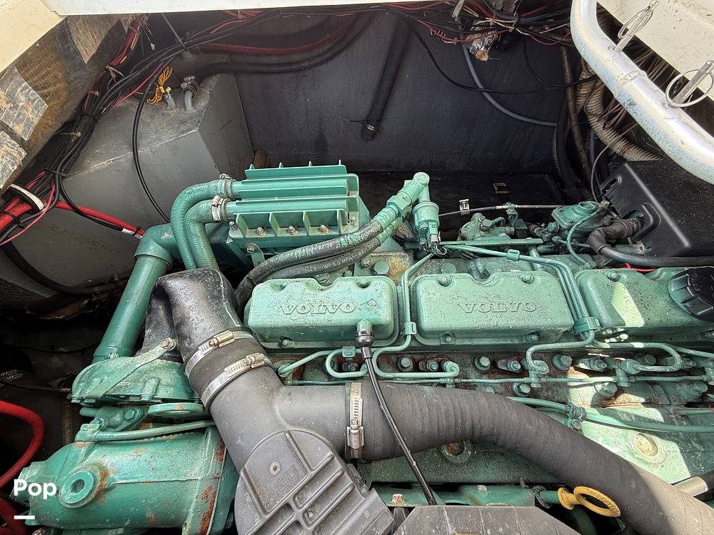 Slide: The Image of Phoenix Marine SFX 29 1994 - 15548530