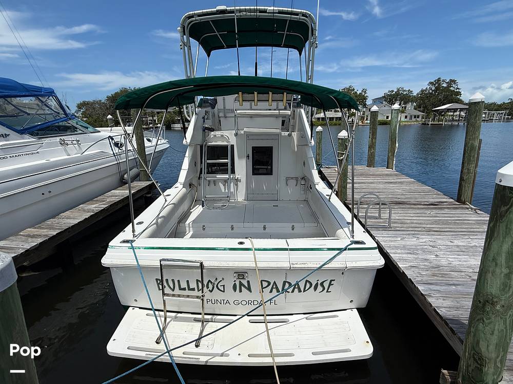 Slide: The Image of Phoenix Marine SFX 29 1994 - 15548452