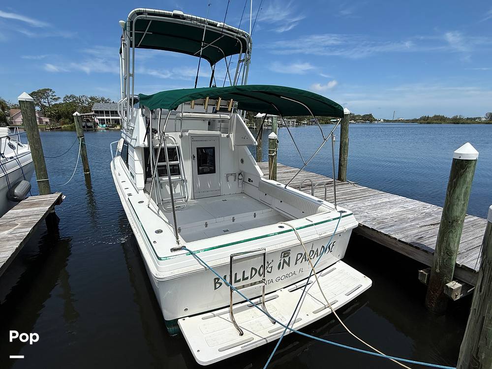 Slide: The Image of Phoenix Marine SFX 29 1994 - 15548453