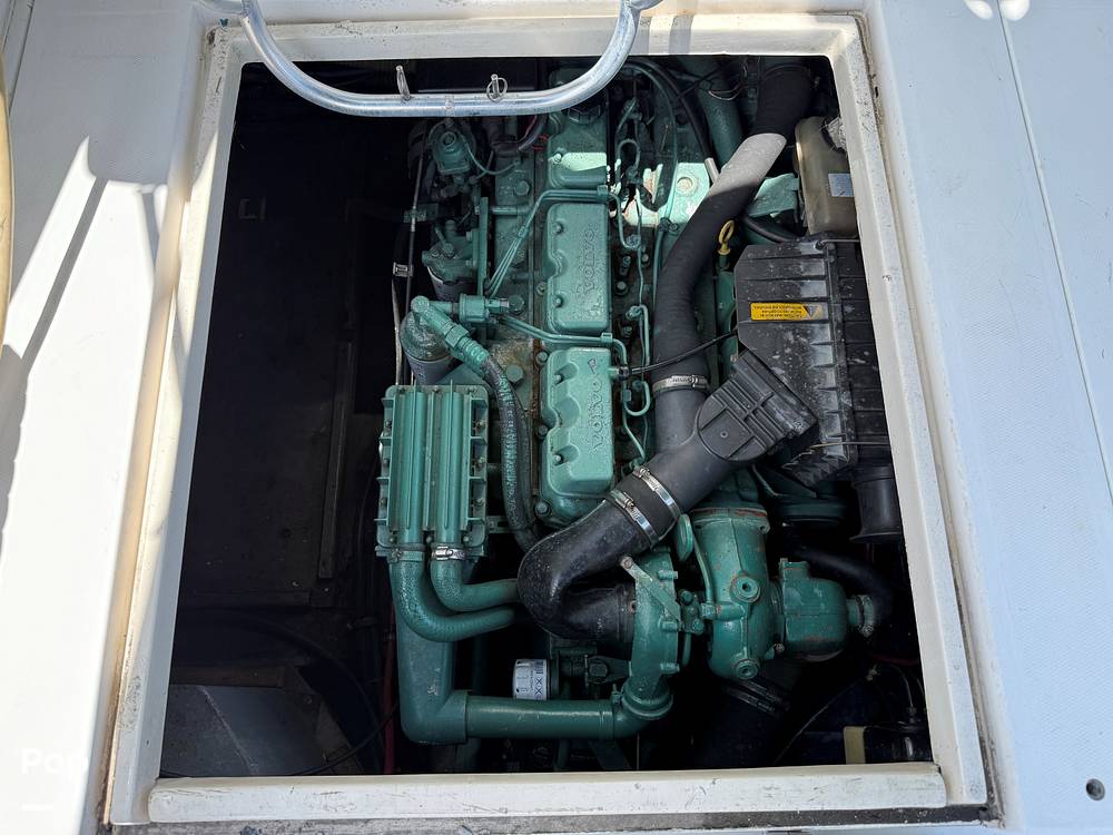 Slide: The Image of Phoenix Marine SFX 29 1994 - 15548528