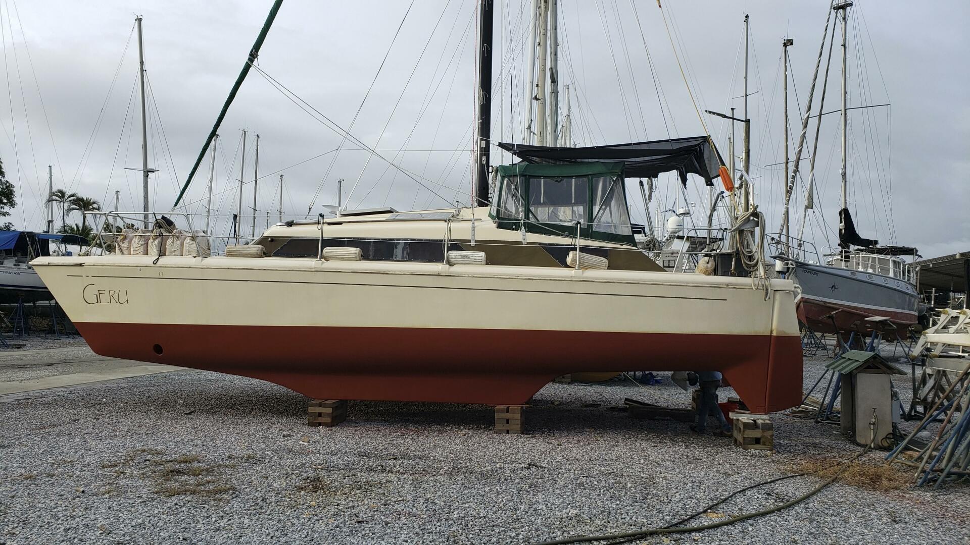 Slide: The Image of Prout Snowgoose 37 1983 - 5371336