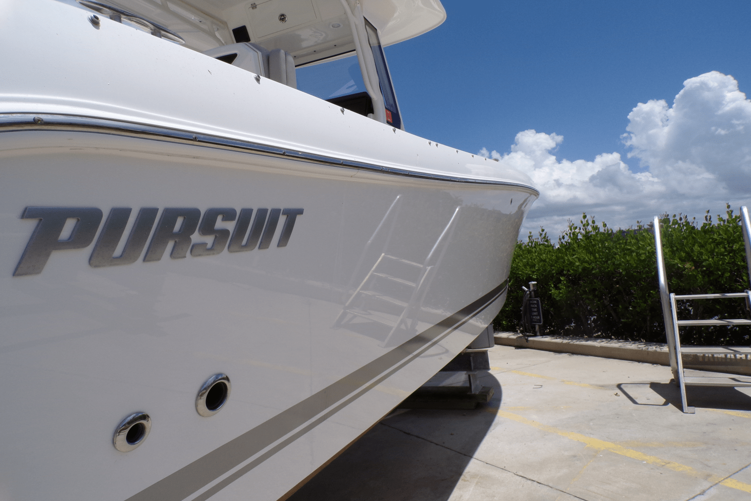 Slide: The Image of Pursuit 248 S 2024 - 5