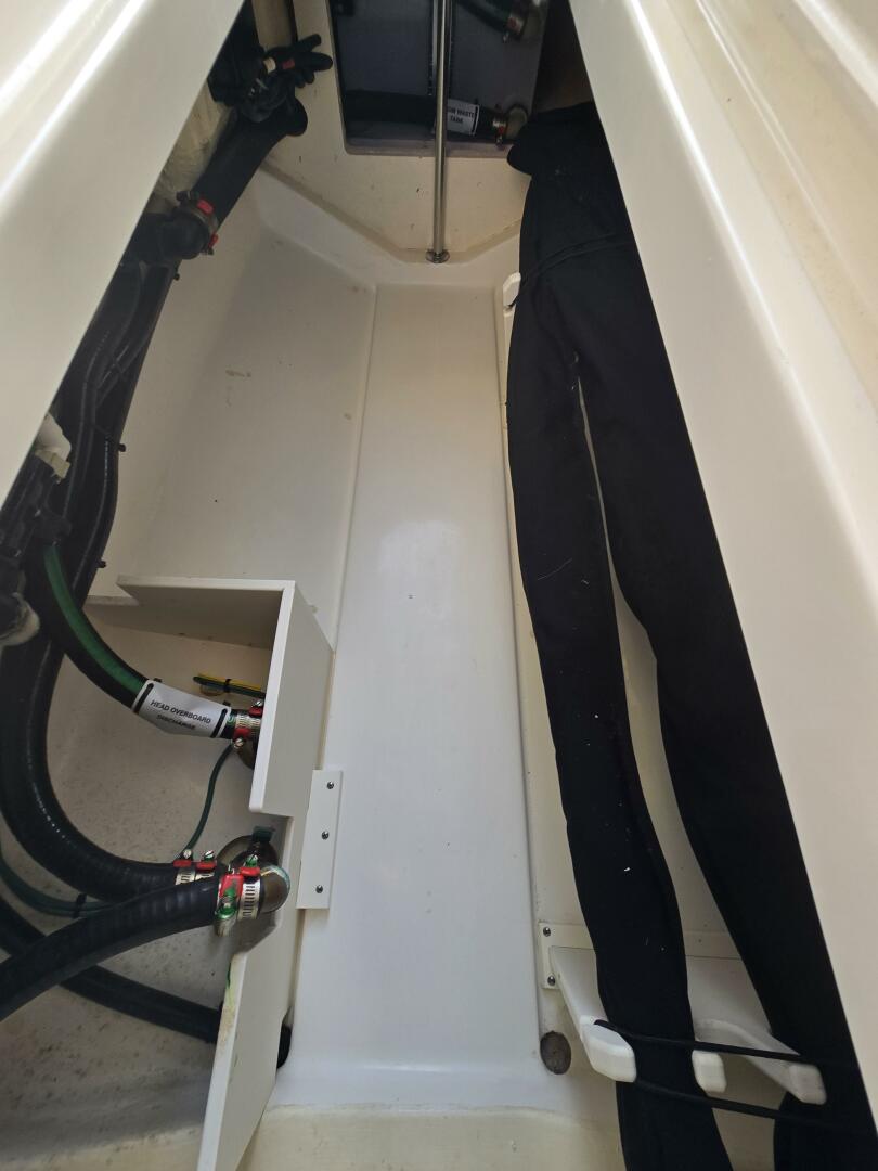 Slide: The Image of Pursuit 266 DC 2020 - 5317882