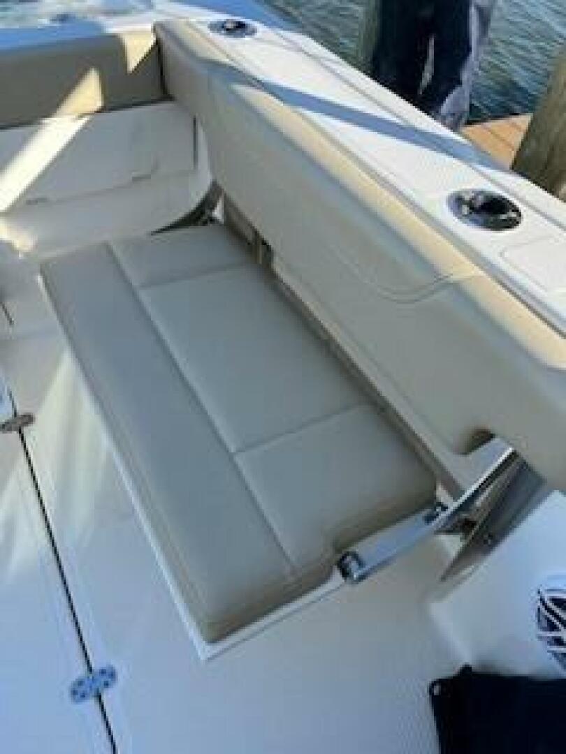Slide: The Image of Pursuit 266 Dual Console 2021 - 4890722