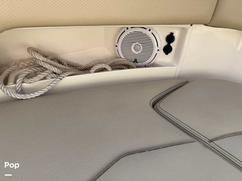 Slide: The Image of Pursuit 295DC 2017 - 15317273