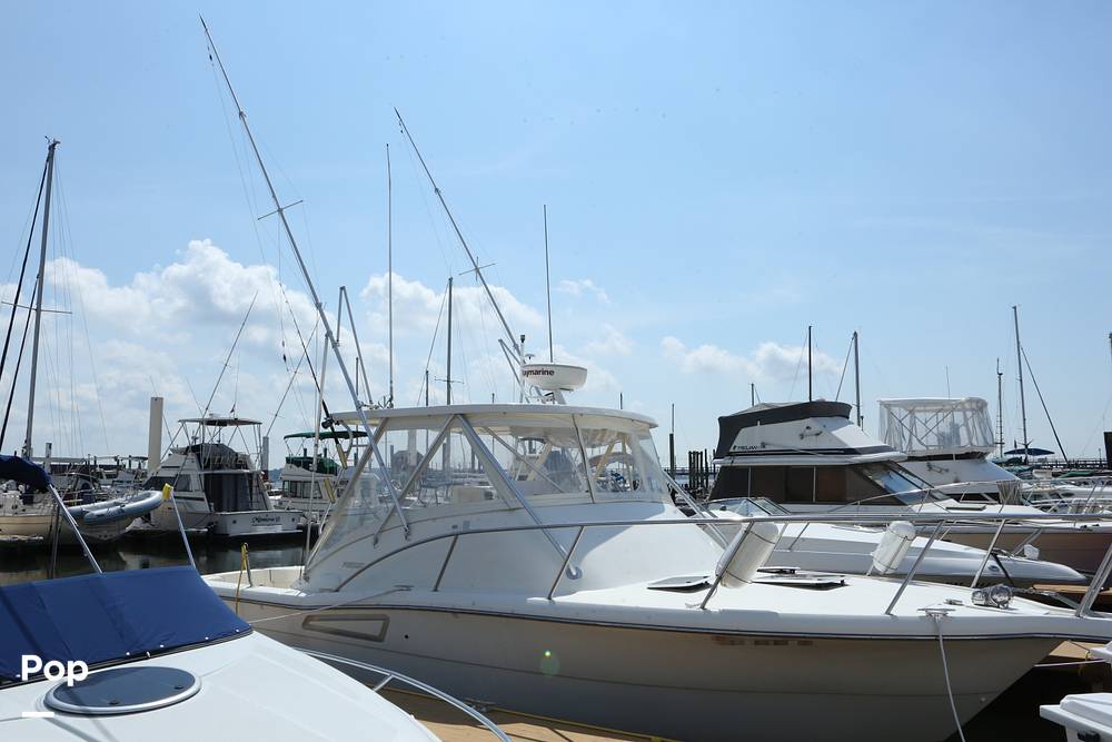 Slide: The Image of Pursuit 3000 Offshore 1996 - 7697941