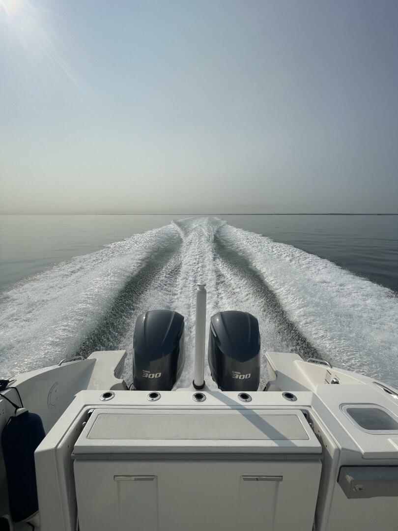 Slide: The Image of Pursuit S 328 2022 - 4083216