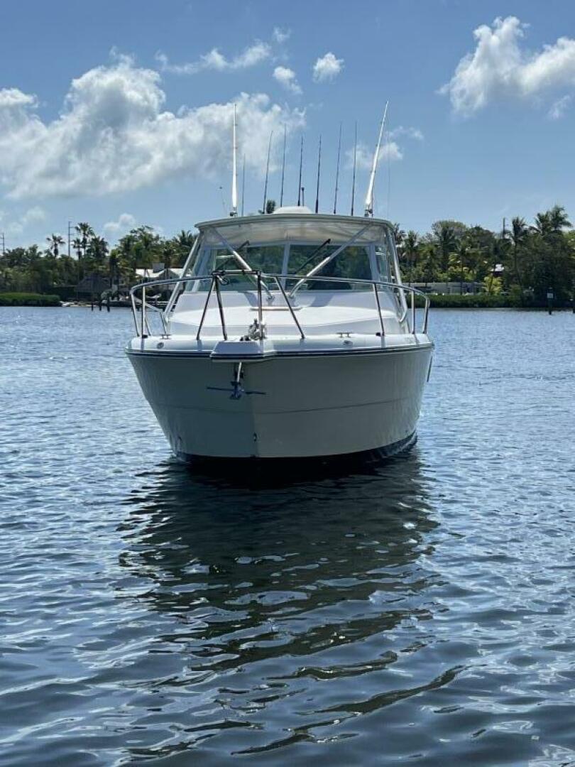 Slide: The Image of Rampage 30 2005 - 5331185