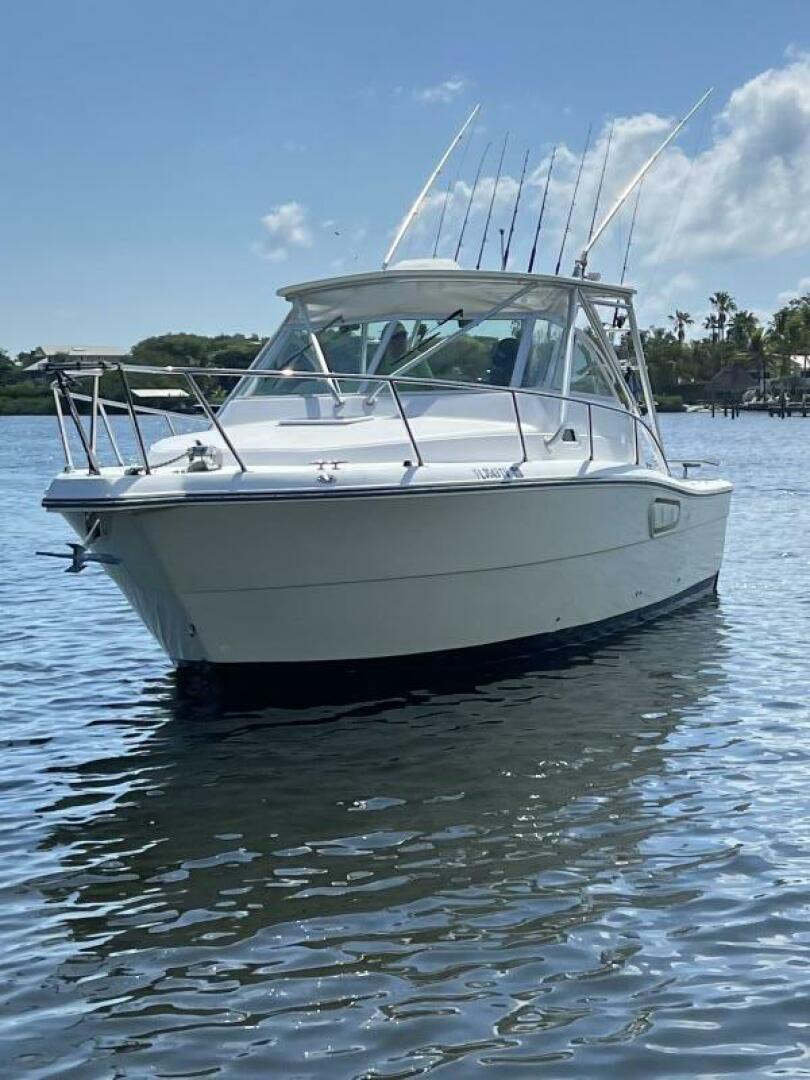 Slide: The Image of Rampage 30 2005 - 5331189