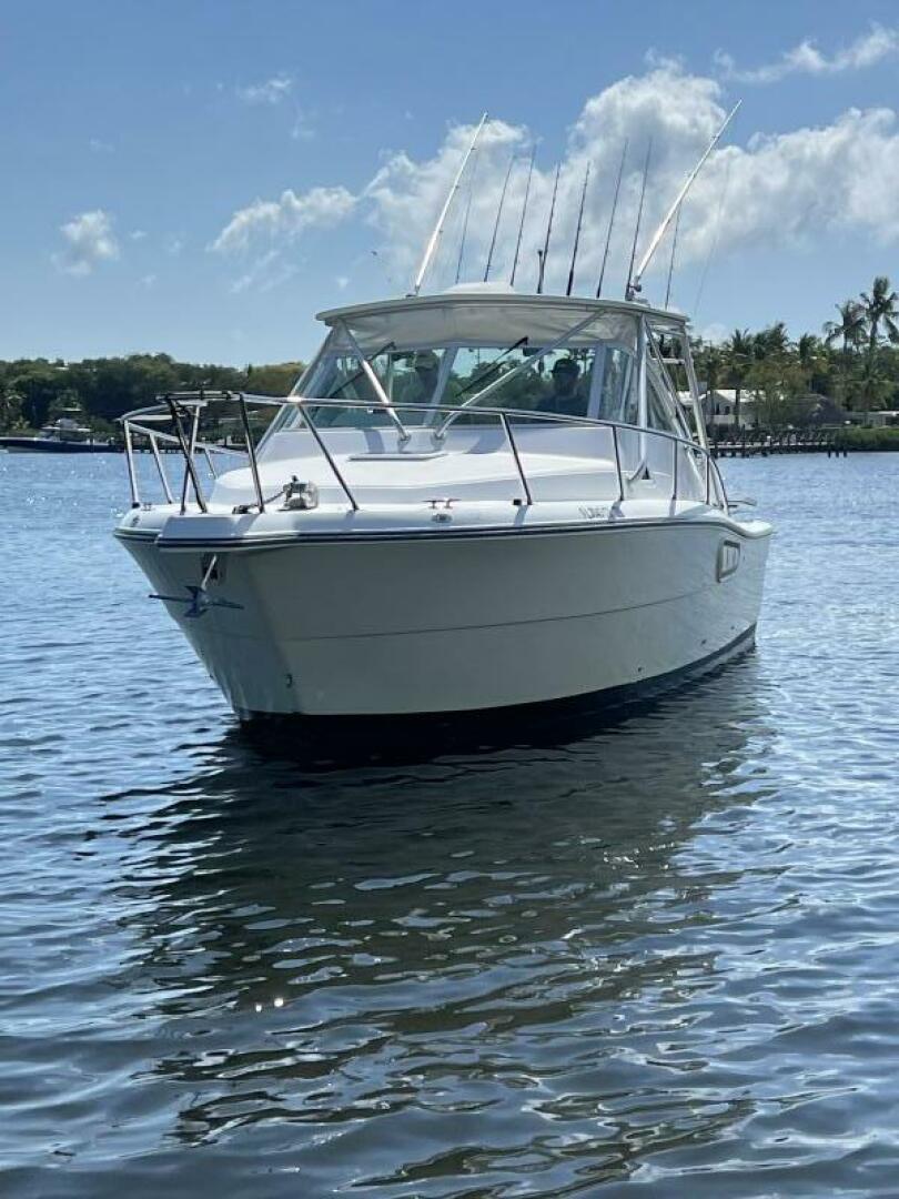 Slide: The Image of Rampage 30 2005 - 5331196