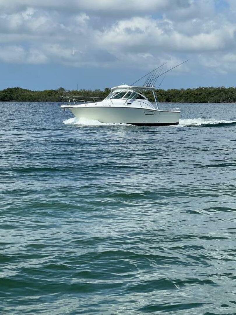 Slide: The Image of Rampage 30 2005 - 5331200