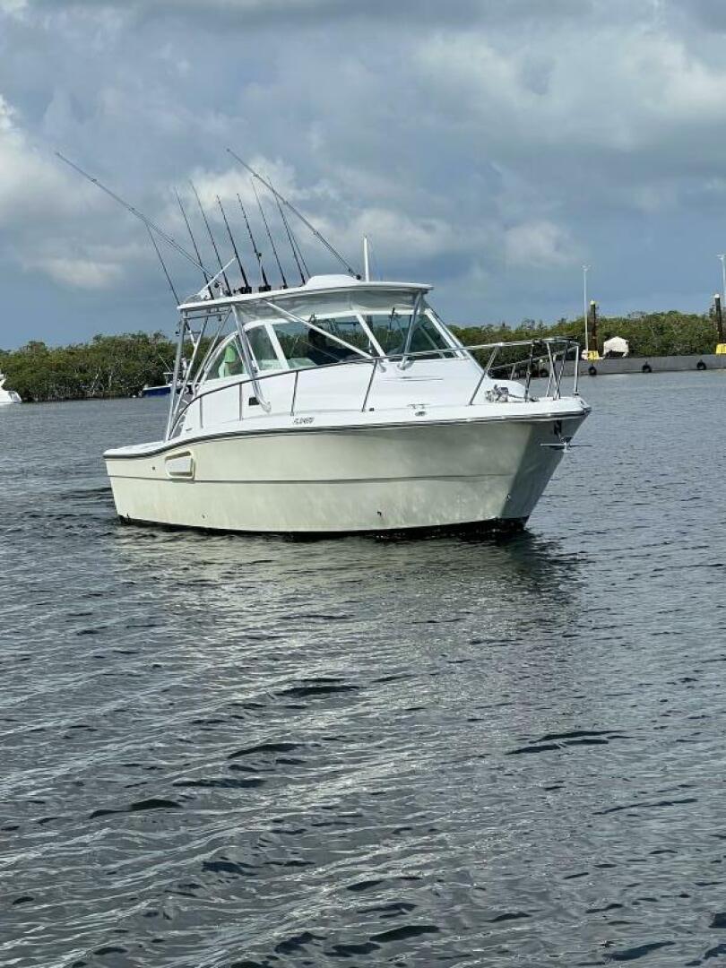 Slide: The Image of Rampage 30 2005 - 5331206