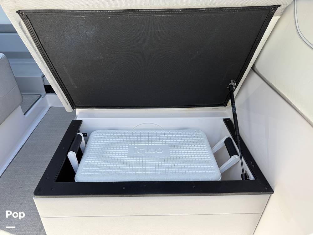 Slide: The Image of Regal 26 XO 2020 - 15315341