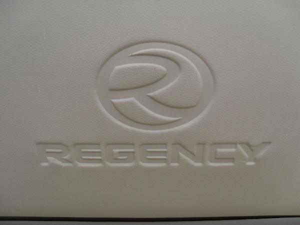 Slide: The Image of 2024 Regency 250 DL3 logo embossed on a beige surface. - 18