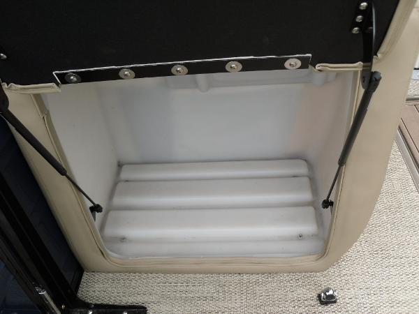 Slide: The Image of 2024 Regency 250 DL3 storage compartment with beige interior and hydraulic supports. - 32