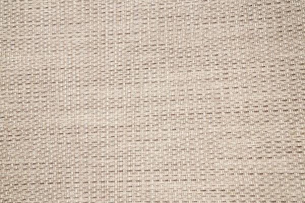Slide: The Image of Beige woven fabric texture of 2024 Regency 250 DL3. - 36