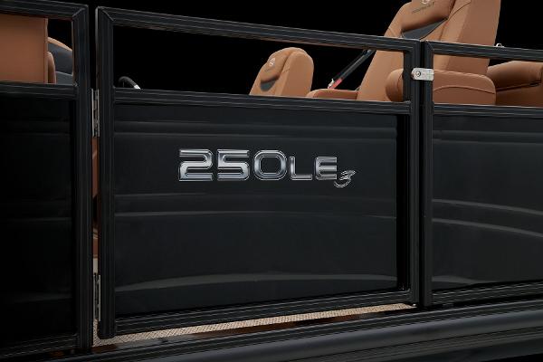 Slide: The Image of Regency 250 LE3 2024 - 10