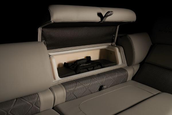 Slide: The Image of Regency 250 LE3 Sport 2024 - 36