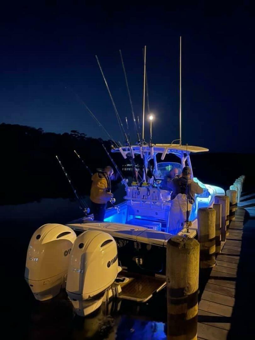 Slide: The Image of Regulator Marine 23 2019 - 4739714
