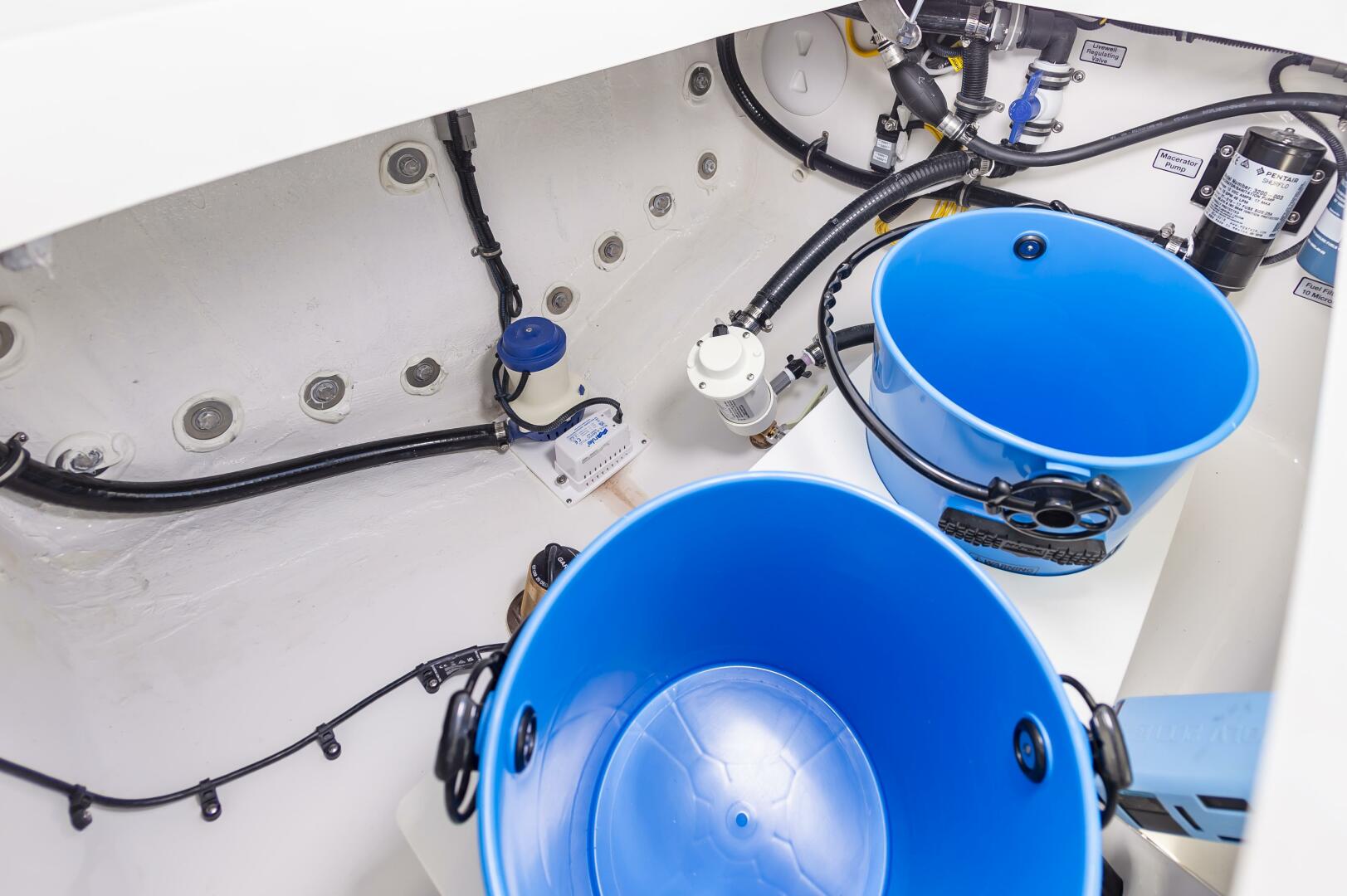 Slide: The Image of Regulator Marine 25 2025 - 5099556