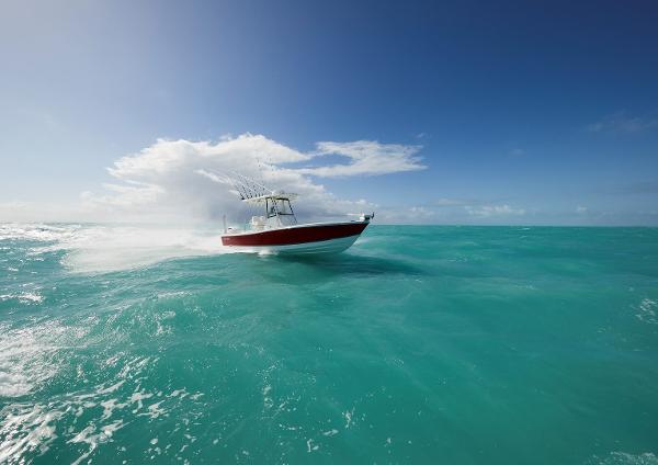Slide: The Image of Regulator Marine 26XO 2022 - 3