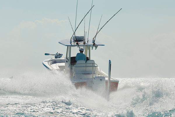 Slide: The Image of Regulator Marine 26XO 2024 - 3