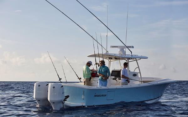 Slide: The Image of Regulator Marine 31 2022 - 0