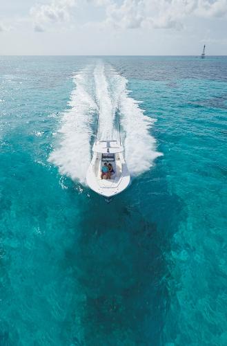 Slide: The Image of Regulator Marine 31 2022 - 5