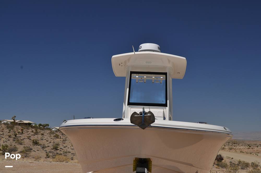 Slide: The Image of Robalo 246 Cayman 2021 - 15336609