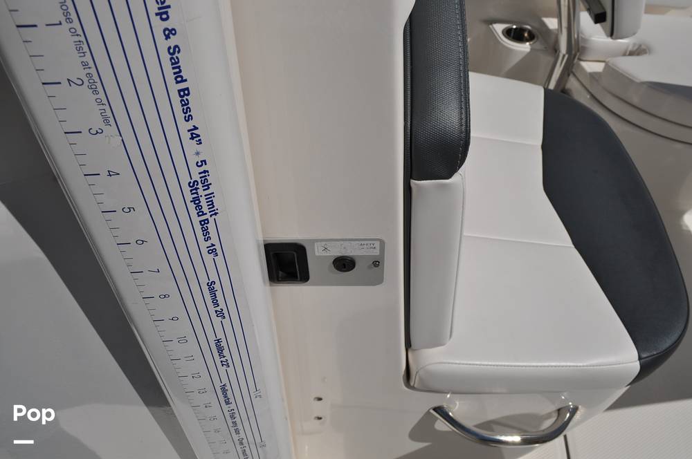 Slide: The Image of Robalo 246 Cayman 2021 - 15336691