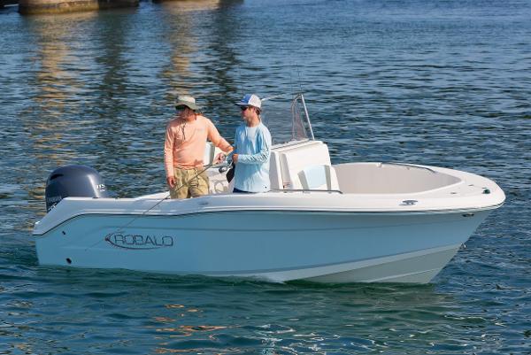 Slide: The Image of FROM THE ROBALO BROCHURE - 19
