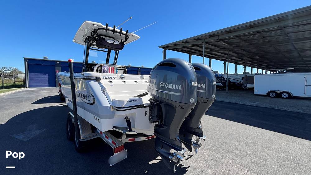 Slide: The Image of Robalo R250 2023 - 4