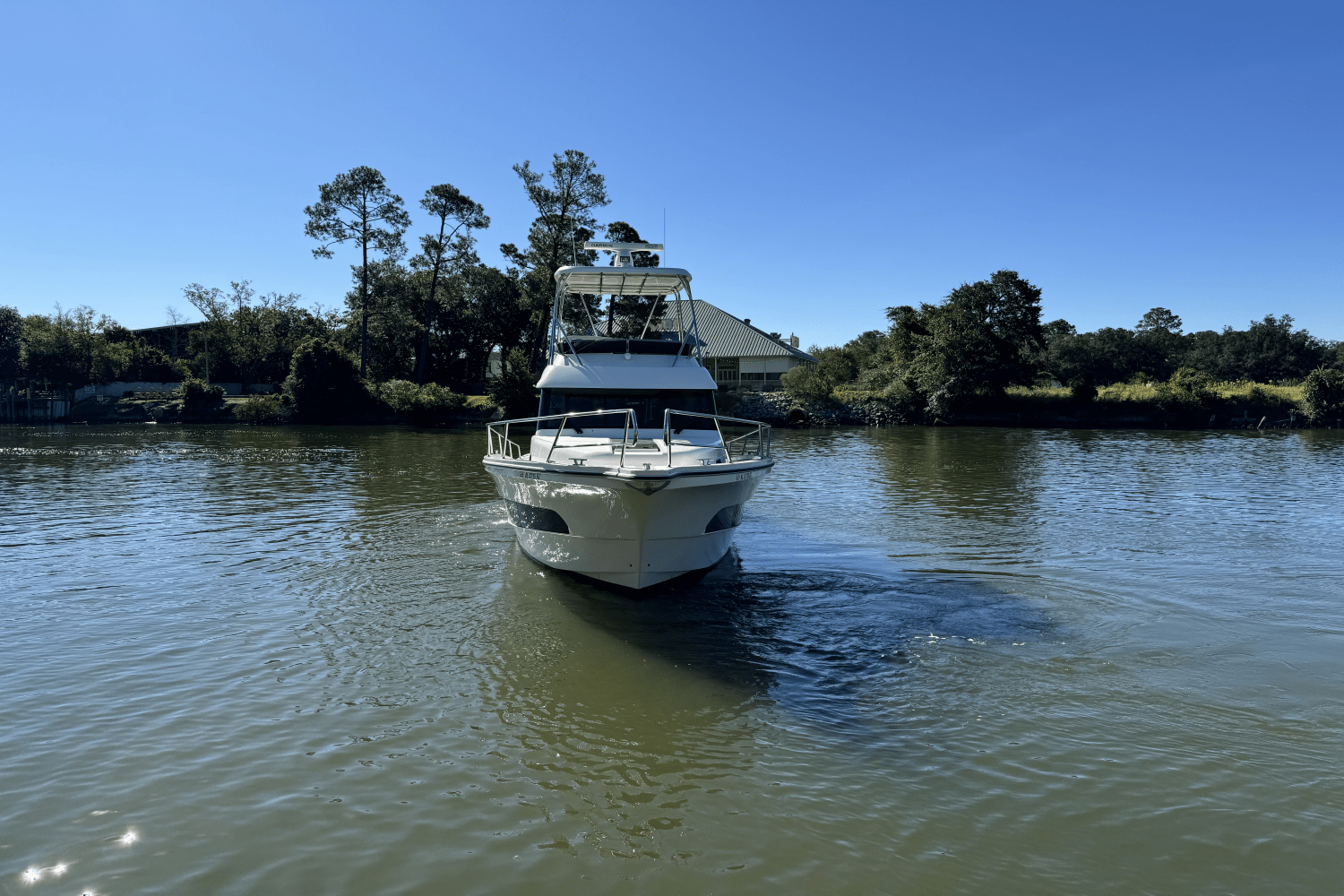 Slide: The Image of Rodman 1290 2023 - 2