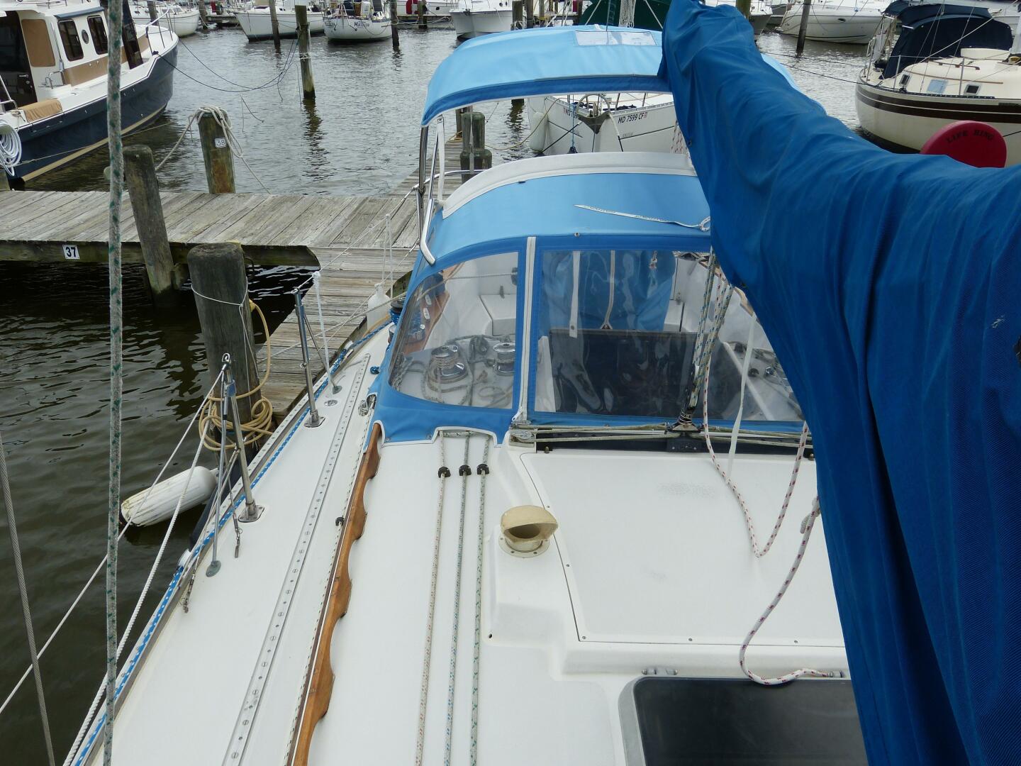 Slide: The Image of dodger and bimini - 4639594