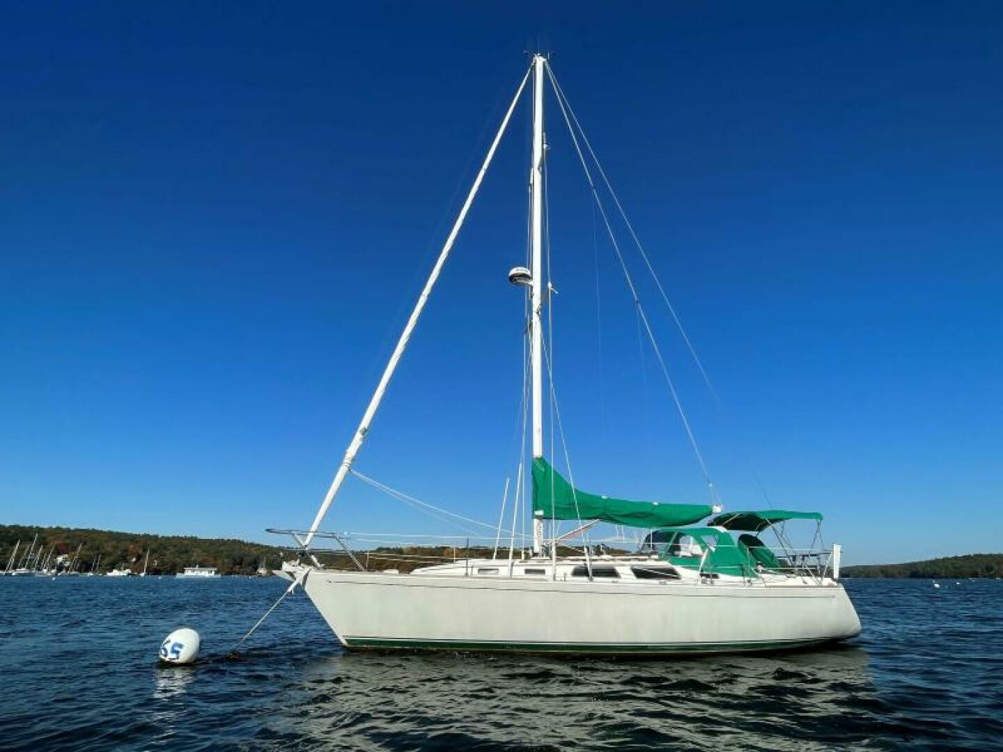 Slide: The Image of 1989 Sabre 34 Targa Dragonfly - 4179153