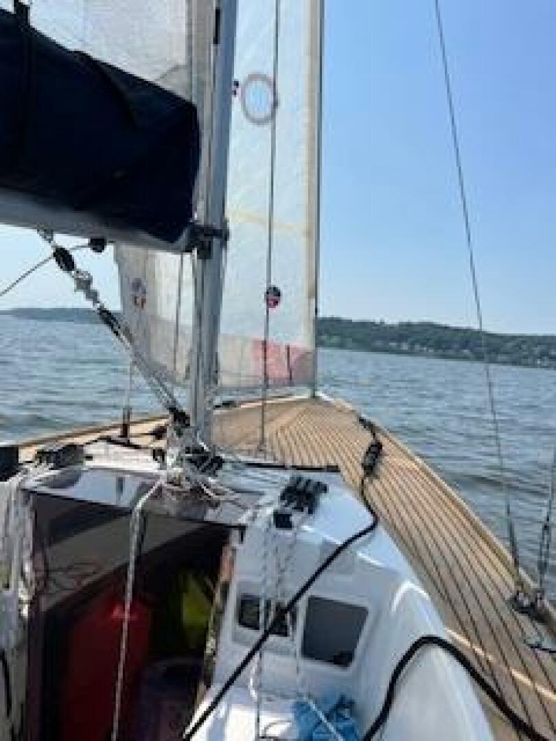 Slide: The Image of Saffier SC 6.5 Cruise 2019 - 5495678